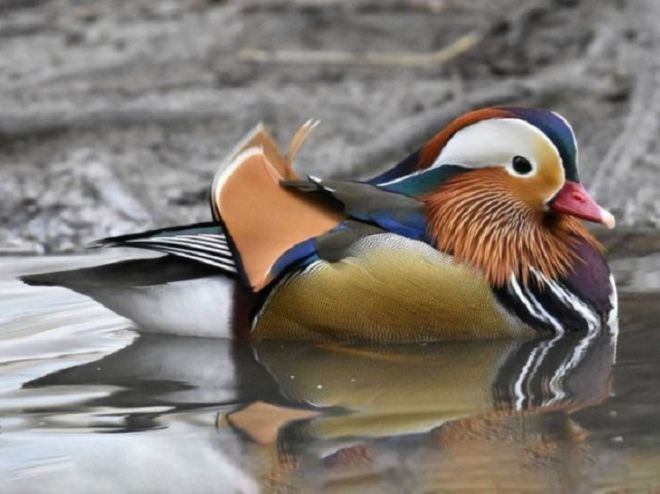 20 Wonderful Pictures That Reveal The Treasures Of Nature