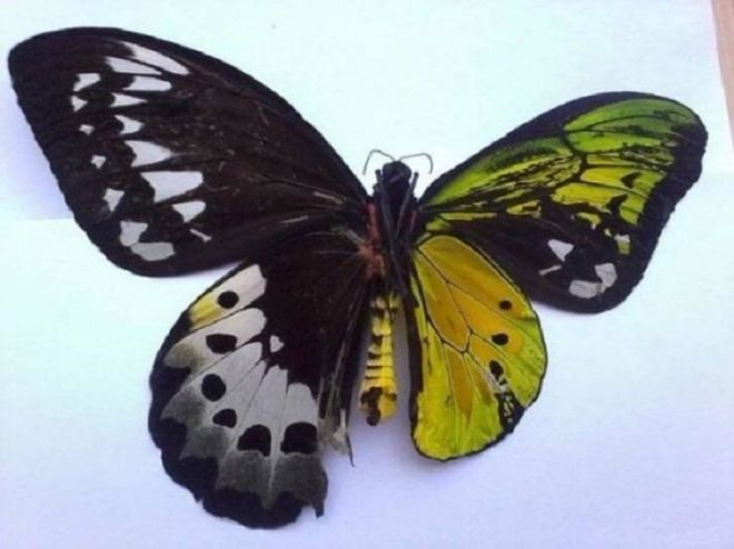 20 Wonderful Pictures That Reveal The Treasures Of Nature