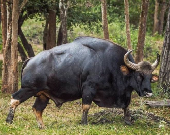 20 Wonderful Pictures That Reveal The Treasures Of Nature