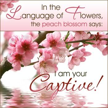 Express your Love to Your Loved Ones