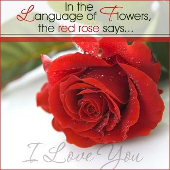 Express your Love to Your Loved Ones