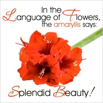 Express your Love to Your Loved Ones