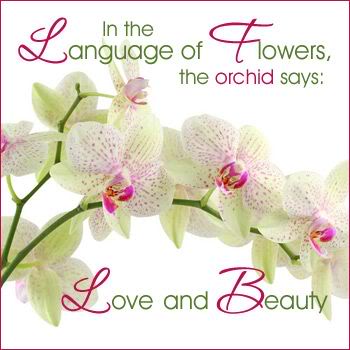 Express your Love to Your Loved Ones