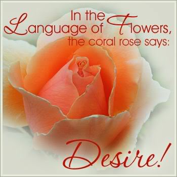 Express your Love to Your Loved Ones