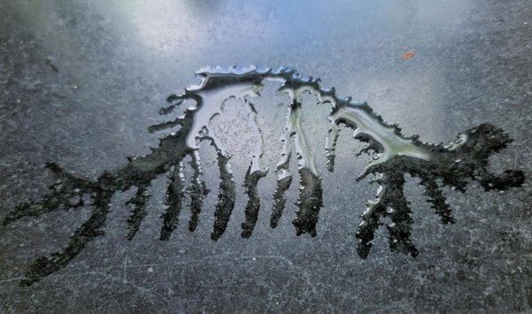 20 Amazing Photos With Unexpected Coincidences