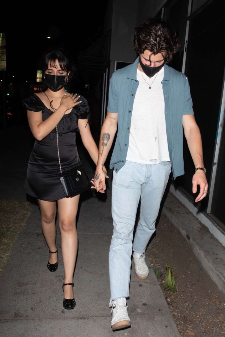 Camila Cabello Goes Out For Dinner In Los Angeles