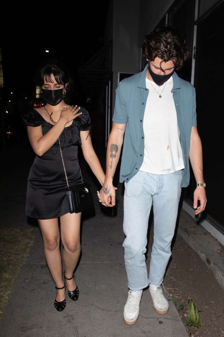 Camila Cabello Goes Out For Dinner In Los Angeles