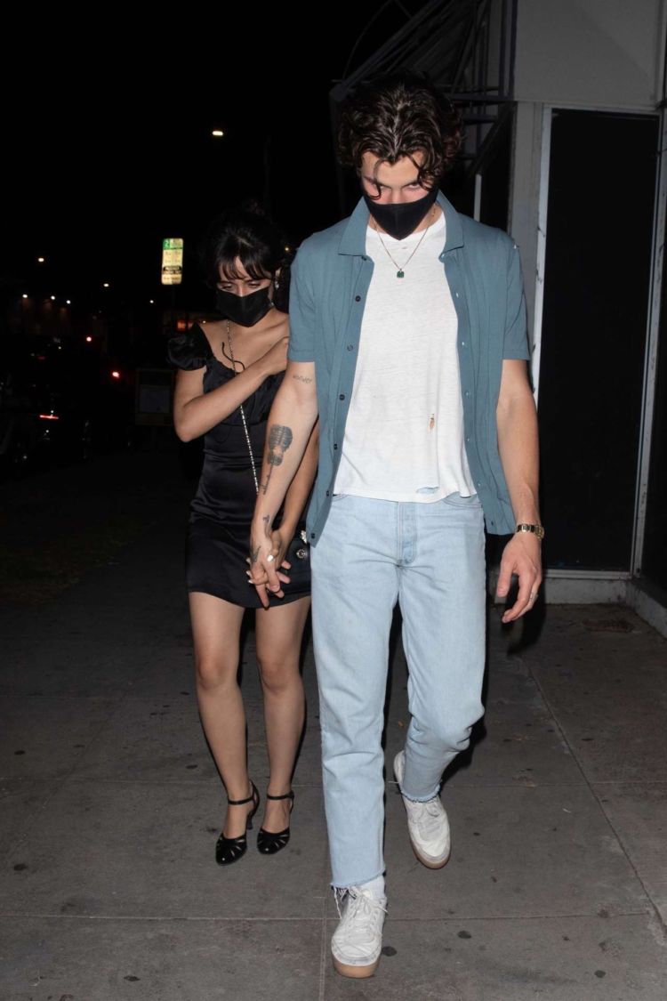 Camila Cabello Goes Out For Dinner In Los Angeles