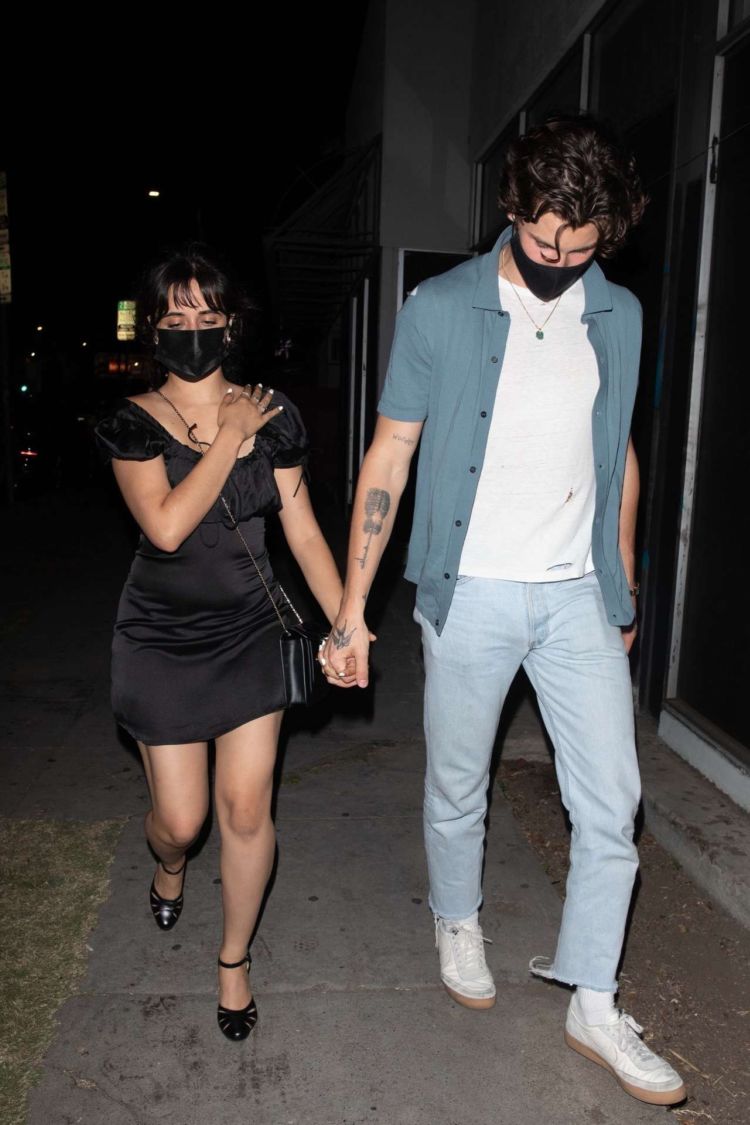 Camila Cabello Goes Out For Dinner In Los Angeles