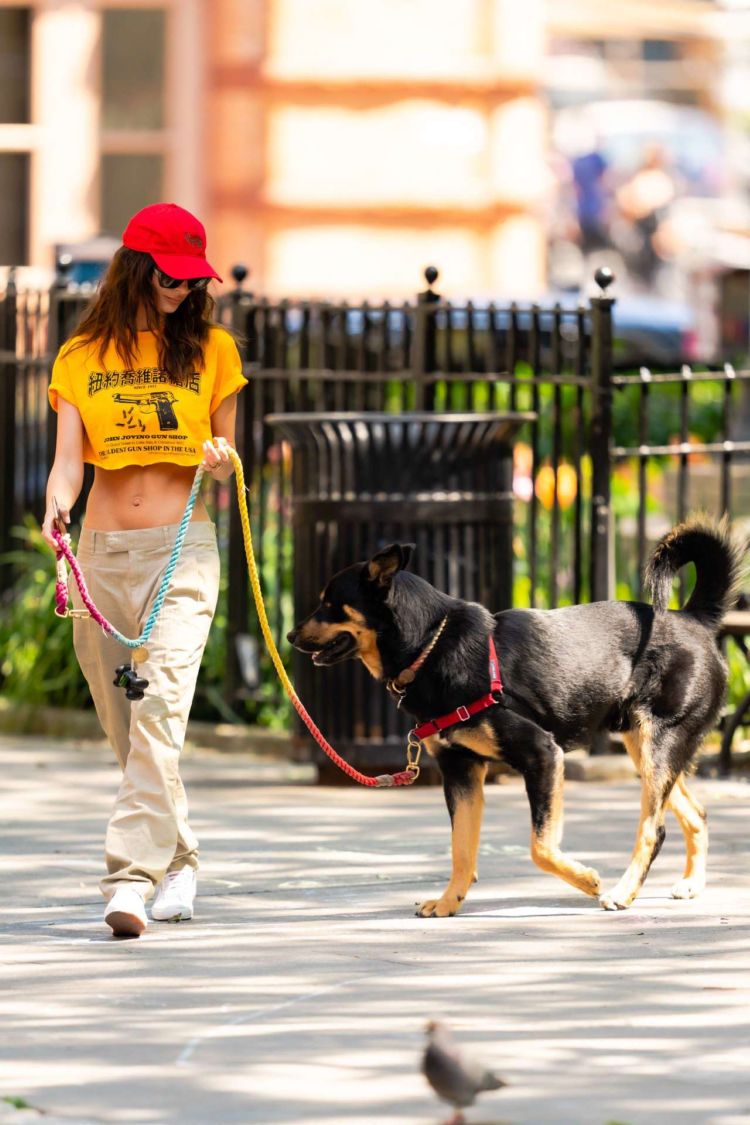 Emily Ratajkowski In A Crop Top While Walking Her Dog In NYC
