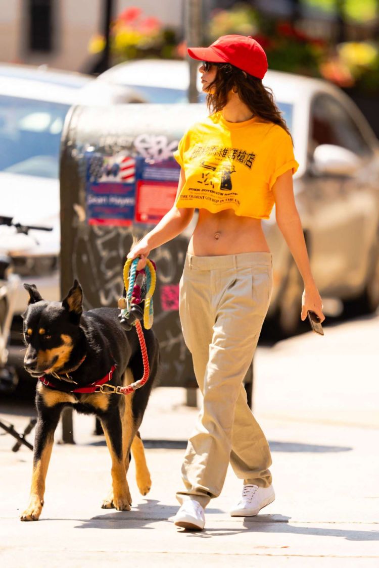Emily Ratajkowski In A Crop Top While Walking Her Dog In NYC