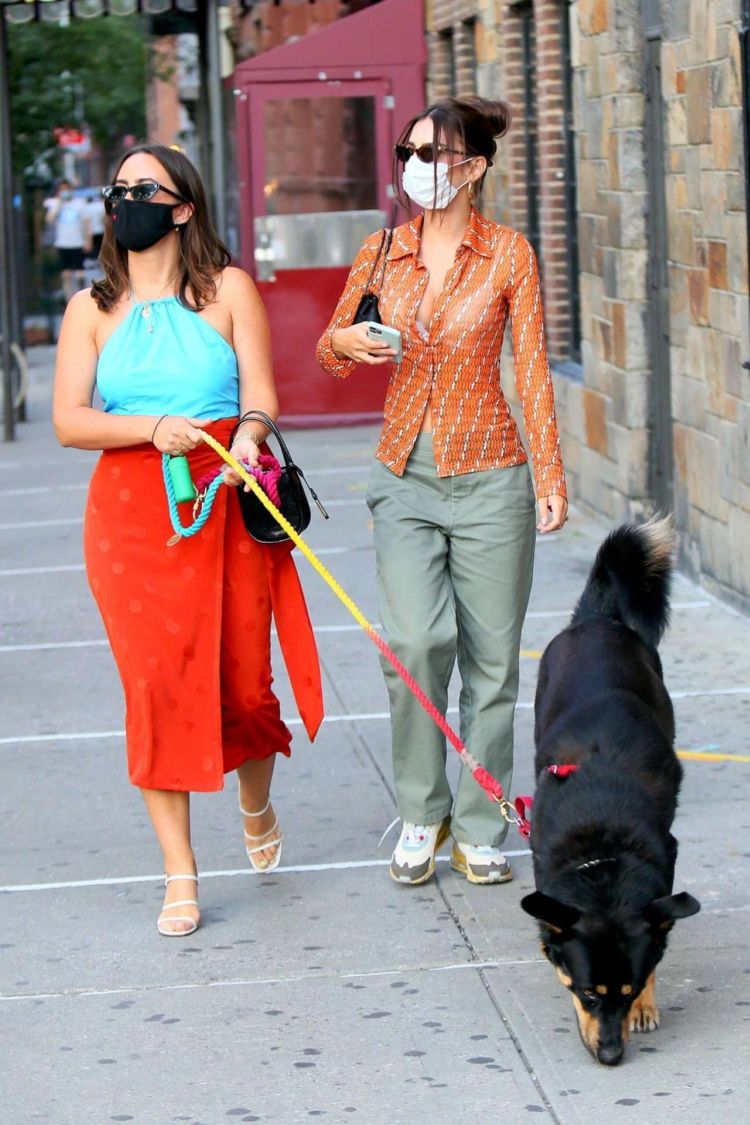 Emily Ratajkowski Spotted Walking Her Dog Out In New York