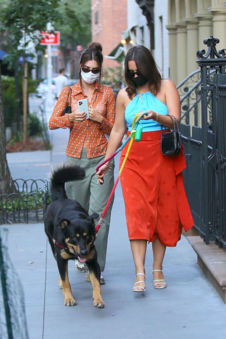 Emily Ratajkowski Spotted Walking Her Dog Out In New York