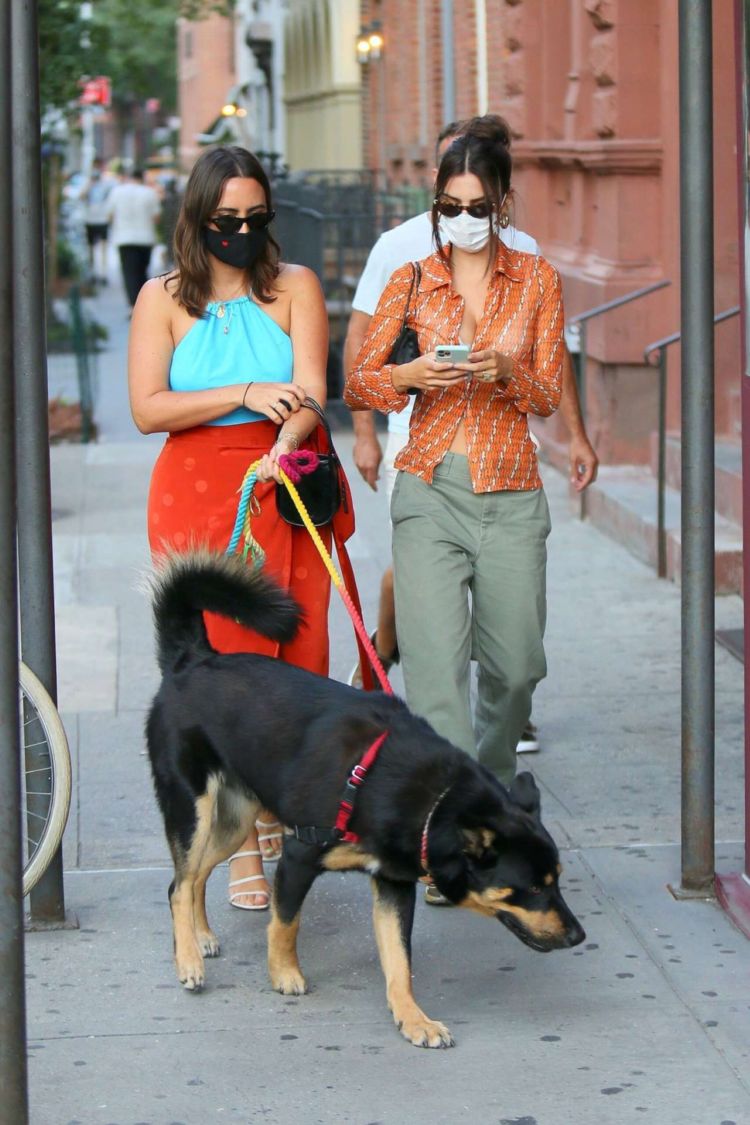 Emily Ratajkowski Spotted Walking Her Dog Out In New York