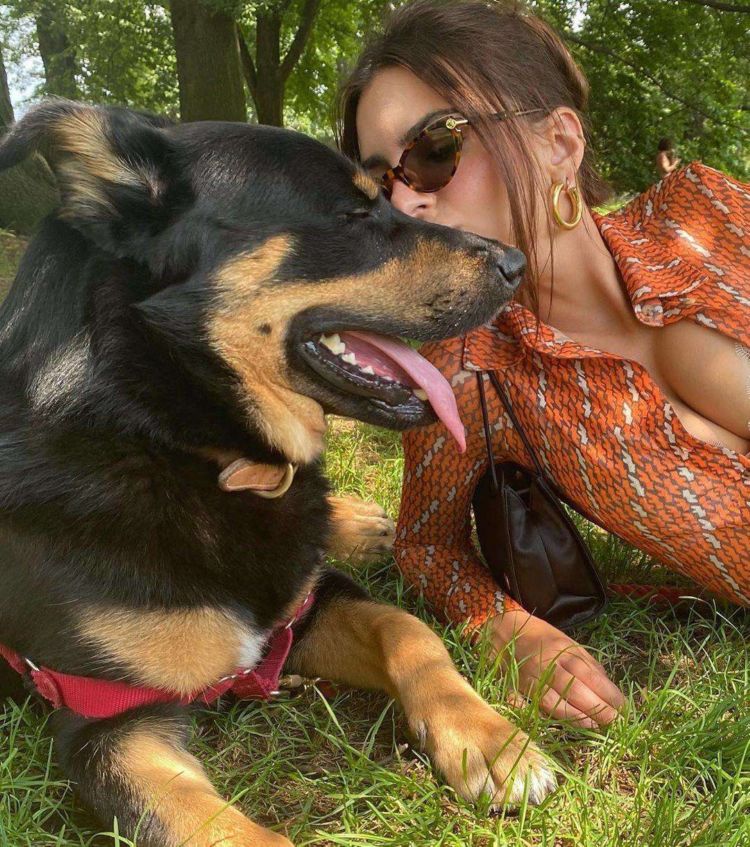 Emily Ratajkowski Spotted Walking Her Dog Out In New York