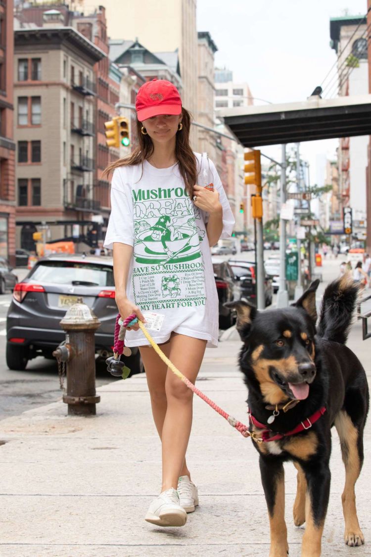 Emily Ratajkowski Spotted Walking Her Dog In NYC