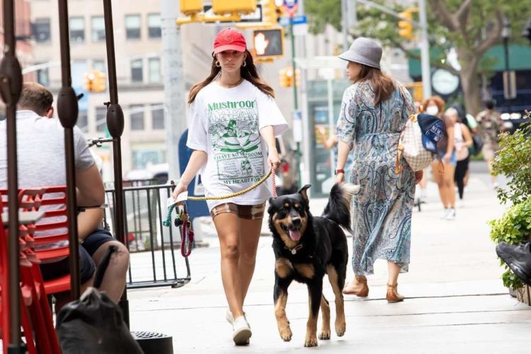 Emily Ratajkowski Spotted Walking Her Dog In NYC
