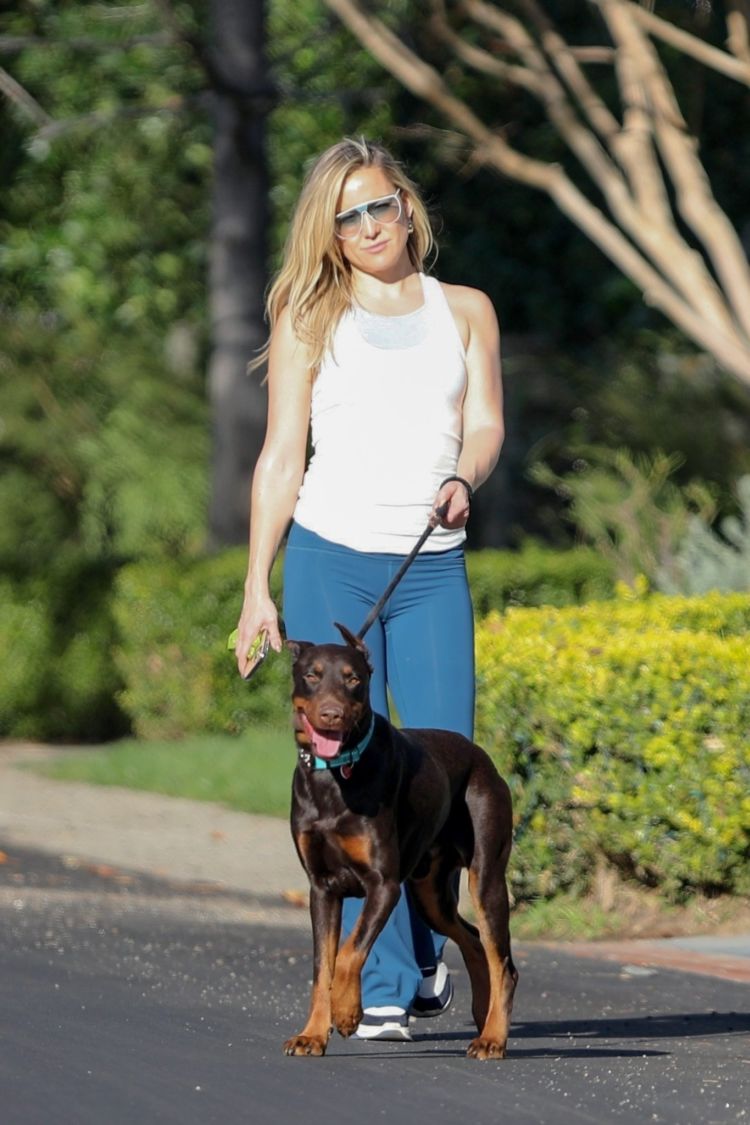 Kate Hudson Spotted Walking Her Dog In Pacific Palisades