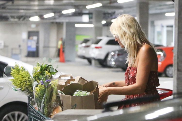 Malin Akerman Spotted Shopping Grocery In Los Angeles