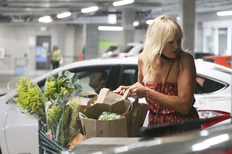 Malin Akerman Spotted Shopping Grocery In Los Angeles