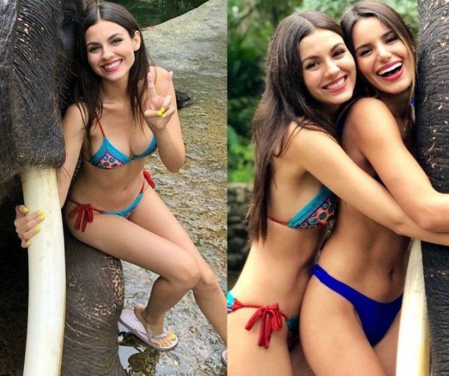 40 Bikini Girls To Make Your Day