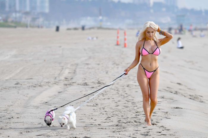 Courtney Stodden In Bikini Walking Her Dogs Out At The Beach In Santa Monica