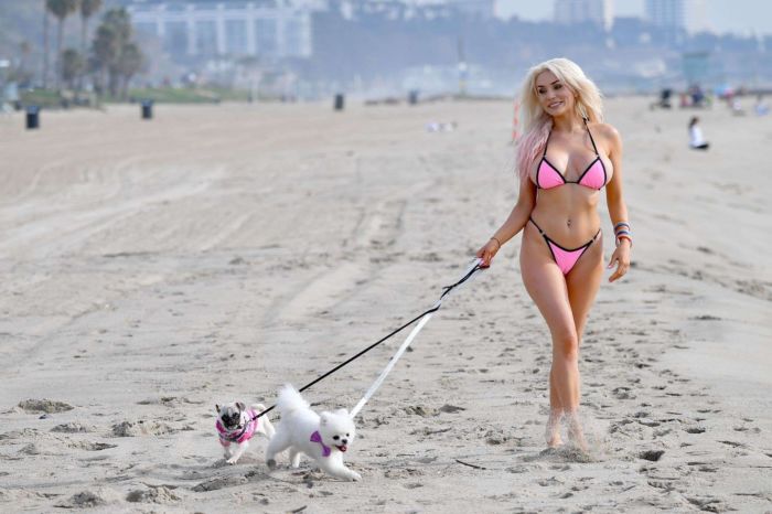 Courtney Stodden In Bikini Walking Her Dogs Out At The Beach In Santa Monica