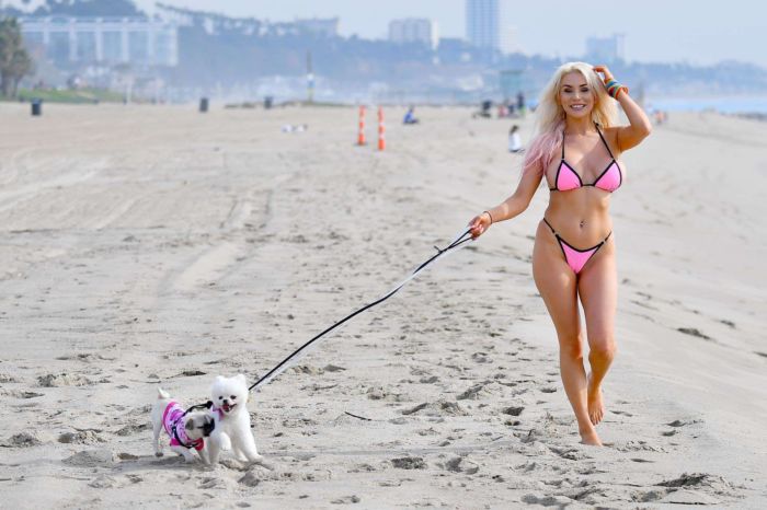 Courtney Stodden In Bikini Walking Her Dogs Out At The Beach In Santa Monica
