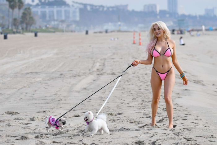 Courtney Stodden In Bikini Walking Her Dogs Out At The Beach In Santa Monica
